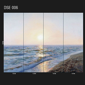 DSE 006