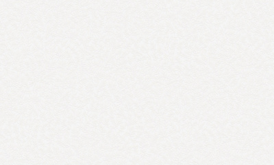 Обои виниловые на флизелиновой основе