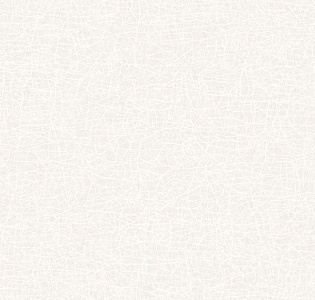 Decoprint Era ER19012 для кабинета для загородного дома для комнаты для прихожей белый