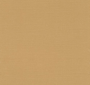 Rasch Denzo II 449150 для кухни для спальни для гостиной для коридора для кабинета для загородного дома для комнаты для прихожей желтый горчичный