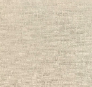 Alessandro Allori Bodega Grand R95011-22 для кухни для спальни для гостиной для коридора для кабинета для загородного дома для комнаты для прихожей кремовый персиковый