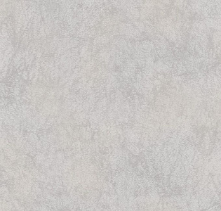 Decoprint Selena SL18129 для кухни для спальни для гостиной для коридора для кабинета для загородного дома для комнаты для прихожей серый светло-серый
