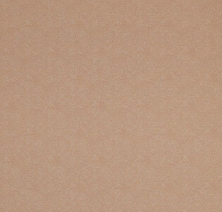BN International Indian Summer 218571 для кухни для спальни для гостиной для загородного дома для комнаты кофейный капучино