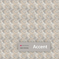 Accent