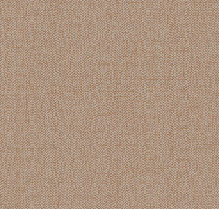 RBN1002-11 Alessandro Allori Bruni RBN1002-11 для кухни для спальни для гостиной для коридора для кабинета для загородного дома для комнаты для прихожей бежевый коричневый