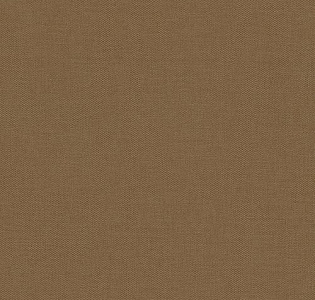 Rasch Etro 515794 для кухни для спальни для гостиной для коридора для кабинета для загородного дома для комнаты для прихожей коричневый