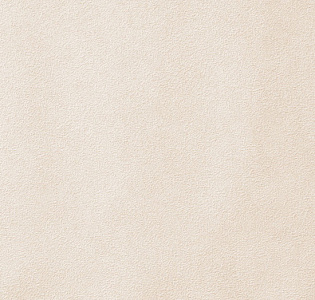 Erismann Pablo 60462-04 для кухни для спальни для гостиной для коридора для кабинета для загородного дома для комнаты для прихожей бежевый