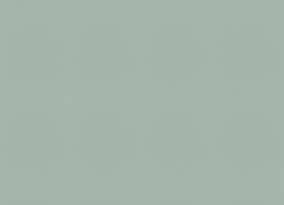 Обои виниловые на флизелиновой основе