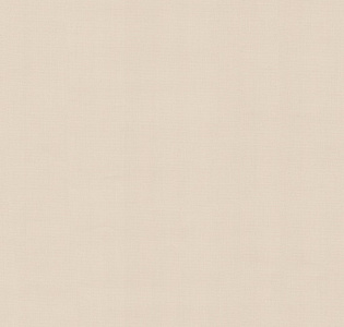 Артекс Marble MB10341-02 для кухни для спальни для гостиной для коридора для кабинета для загородного дома для комнаты для прихожей бежевый