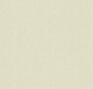 Rasch Maximum XIV 949933 для кухни для спальни для гостиной для коридора для кабинета для загородного дома для комнаты для прихожей бежевый