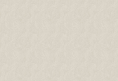 Обои виниловые на флизелиновой основе