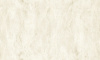 MS11307