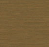 TS11 005/1