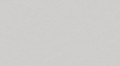 Обои виниловые на флизелиновой основе