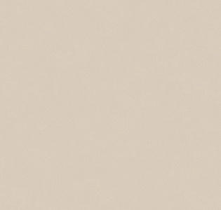 Grandeco Spring R149026 для кухни для спальни для гостиной для коридора для кабинета для загородного дома для комнаты для прихожей капучино