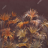 AF2081-COL2