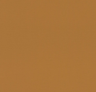 Rasch Allegretto 688054 для кухни для спальни для гостиной для коридора для кабинета для загородного дома для комнаты для прихожей горчичный