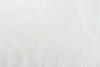 AR10882-01