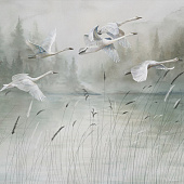 020101 Полёт