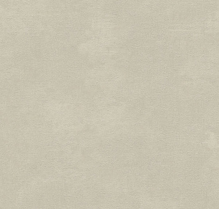 A.S. Creation Природные Мотивы (Natural Motifs) 79254-6 для кухни для спальни для гостиной для коридора для кабинета для загородного дома для комнаты для прихожей серый светло-серый оливковый