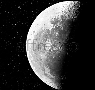 Affresco Фрески и фотообои 7169