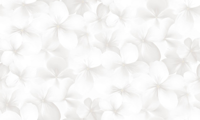 Обои виниловые на флизелиновой основе