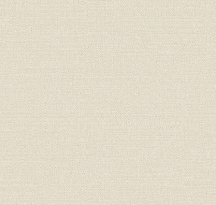 Alessandro Allori Bruni RBN1003-11 для кухни для спальни для гостиной для коридора для кабинета для загородного дома для комнаты для прихожей серый светло-серый серо-бежевый