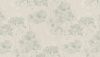R24203