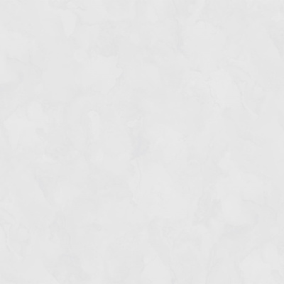 Обои виниловые на флизелиновой основе