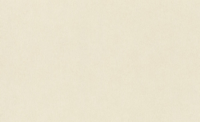 Обои виниловые на флизелиновой основе