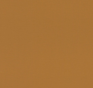 Rasch Natural Colors 688054 для кухни для спальни для гостиной для коридора для кабинета для загородного дома для комнаты для прихожей коричневый