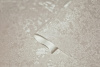 R221027