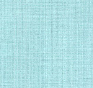 Grandeco Jack`n Rose Junior JR1007 для детской голубой
