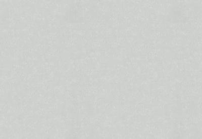 Обои виниловые на флизелиновой основе