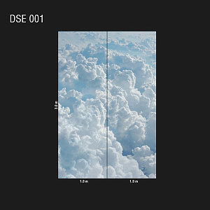 DSE 001