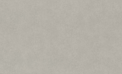 Обои виниловые на флизелиновой основе