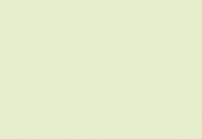 Обои виниловые на флизелиновой основе