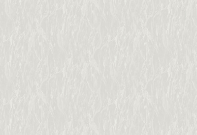 Обои виниловые на флизелиновой основе