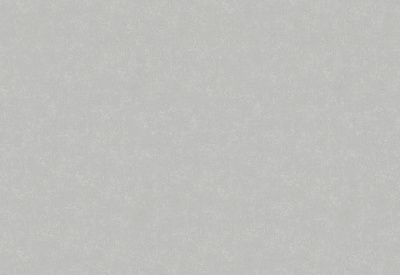 Обои виниловые на флизелиновой основе