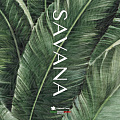 Savana