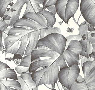 A.S. Creation Colibri 36625-2 для кухни для спальни для гостиной для загородного дома для комнаты черно-белый
