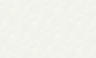 Обои виниловые на флизелиновой основе