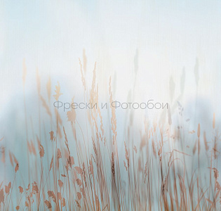 Affresco Фрески и фотообои ID136336