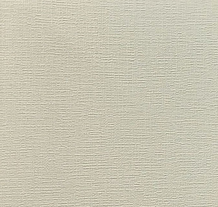 Alessandro Allori Bodega Grand R95011-17 для кухни для спальни для гостиной для коридора для кабинета для загородного дома для комнаты для прихожей серый светло-серый
