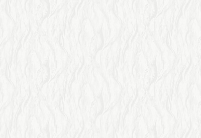 Обои виниловые на флизелиновой основе