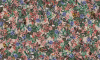 B8203 RW