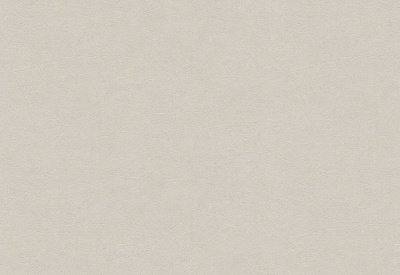 Обои виниловые на флизелиновой основе