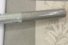 PH1007