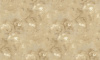 BM31045