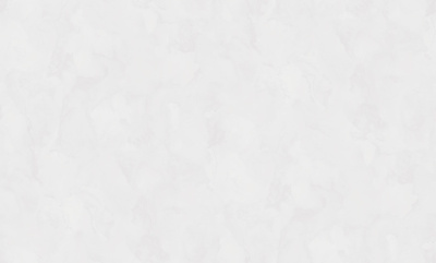 Обои виниловые на флизелиновой основе